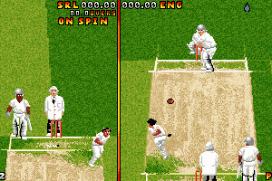 Ian Botham's Cricket 11