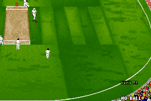 Ian Botham's Cricket 12