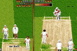 Ian Botham's Cricket 13