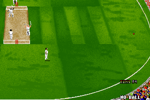 Ian Botham's Cricket 14