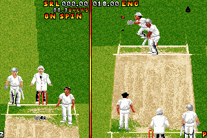 Ian Botham's Cricket 15
