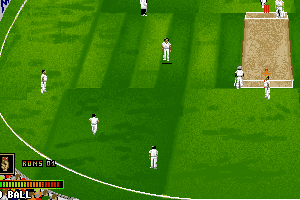 Ian Botham's Cricket 16