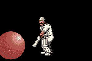 Ian Botham's Cricket 1