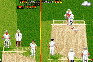 Ian Botham's Cricket 19