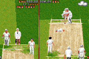 Ian Botham's Cricket 20