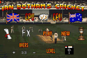 Ian Botham's Cricket 3
