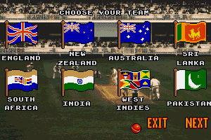 Ian Botham's Cricket 4