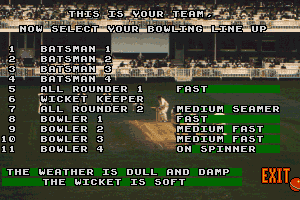 Ian Botham's Cricket 5