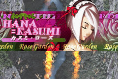 Ibara 13