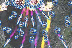Ibara 14