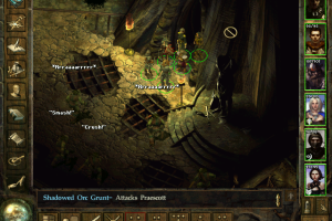 Icewind Dale 29