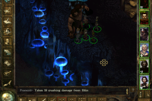 Icewind Dale 31