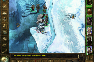 Icewind Dale 37