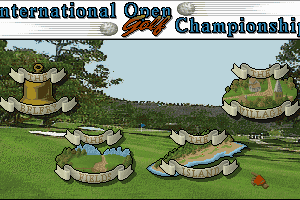 International Open Golf Championship 3