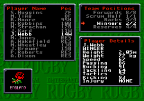 International Rugby 7