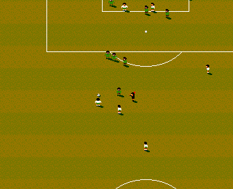 TGDB - Browse - Game - International Sensible Soccer - Limited Edition: World  Champions
