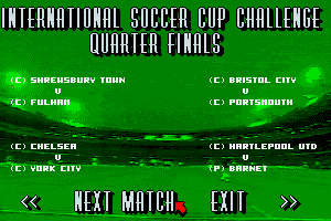 International Soccer 7