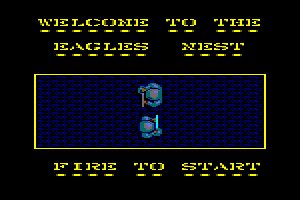 Into The Eagle's Nest abandonware