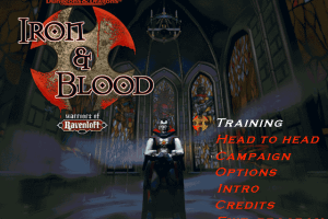 Iron & Blood: Warriors of Ravenloft 6
