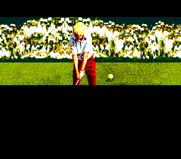 Jack Nicklaus' Turbo Golf 2
