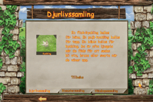 Jakers! Let's Explore 12