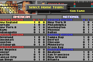 Joe Montana Football 5