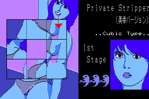 Joshi Daisei Private abandonware