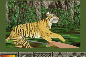 Jungle Legend 4