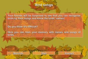 Junior Brain Train: Memory Games 12