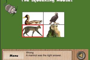 Junior Brain Train: Memory Games 30