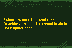 Jurassic Park 3