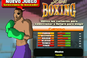 K.O. Boxing 0