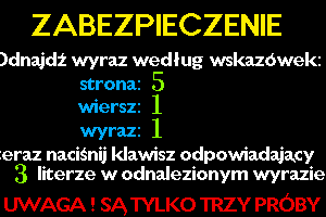 Kajko i Kokosz 9