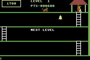 Kangaroo 5