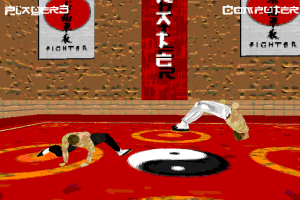 Karate Fighter 0
