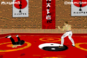 Karate Fighter 9