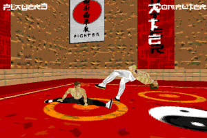 Karate Fighter 10