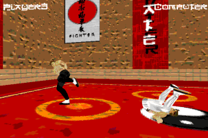 Karate Fighter 1