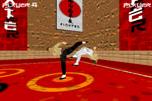 Karate Fighter 3