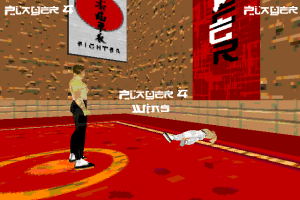 Karate Fighter 4