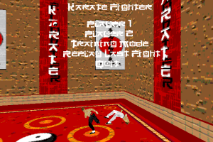 Karate Fighter 7