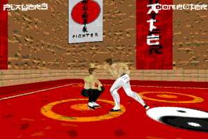 Karate Fighter 8