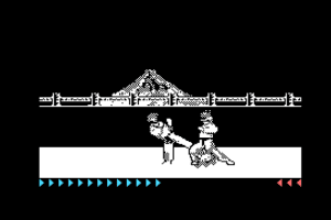 Karateka 9
