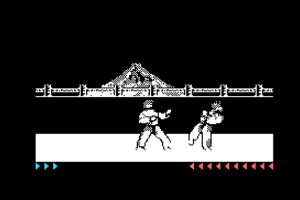 Karateka 10