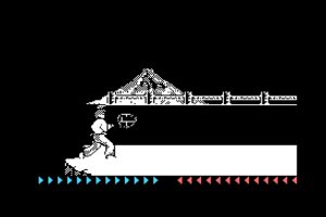 Karateka 7