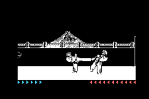 Karateka 6