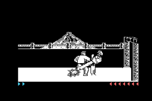 Karateka 8