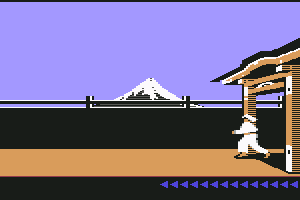 Karateka 12