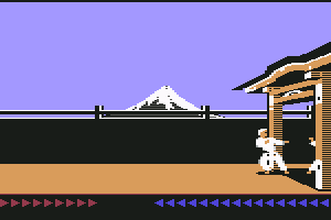 Karateka 13