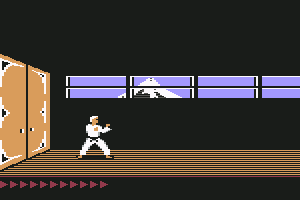 Karateka 14